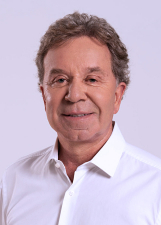 LUIZ FERNANDO RAMOS FARIA